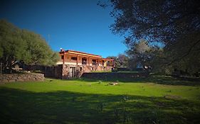 Agriturismo Conca' E Janas